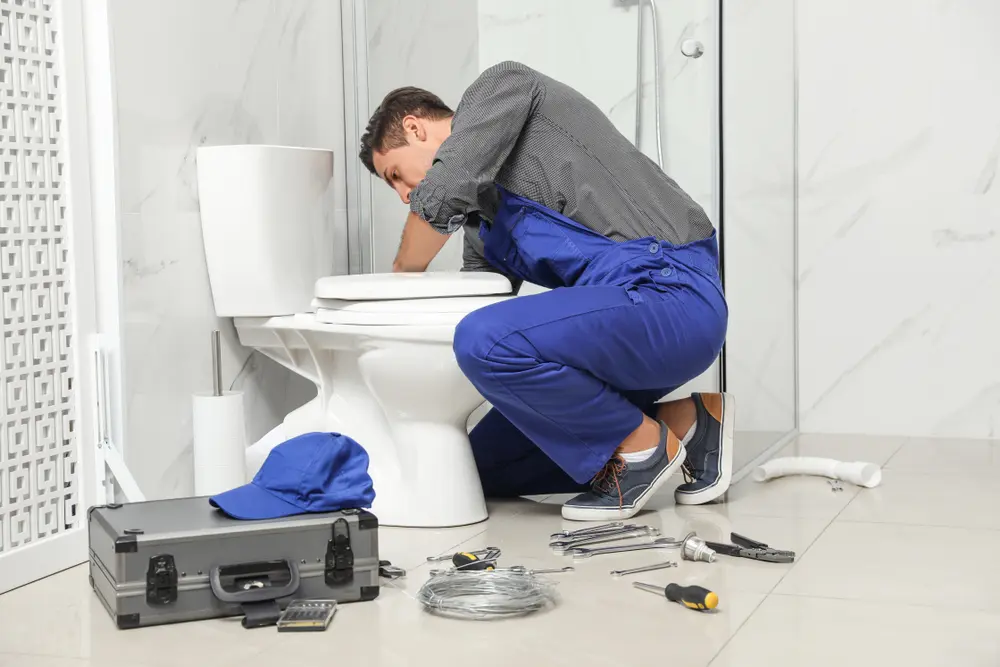 Toilet Repair in Three Lakes